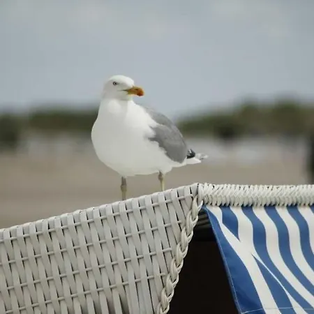 아파트 Lindholm- Strandnaehe -balkon-im Zentrum Von 5 빈츠