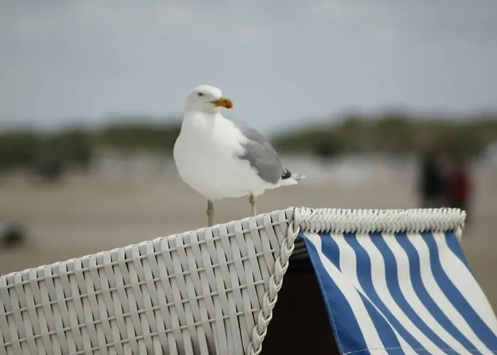 Apartmán Lindholm- Strandnaehe -balkon-im Zentrum Von 5 Binz