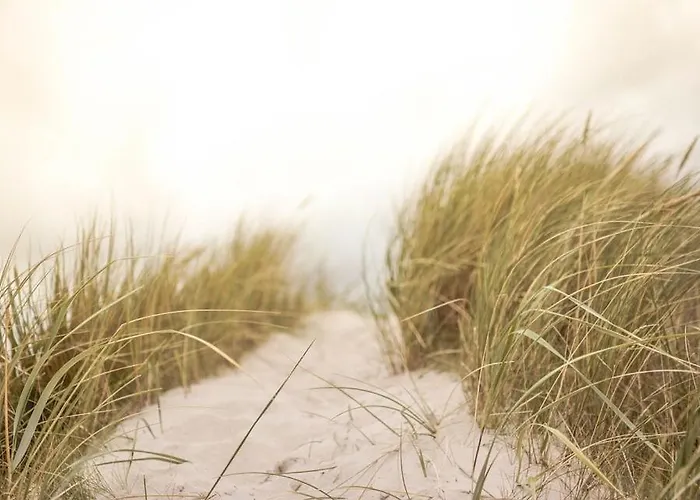 Lindholm- Strandnaehe -balkon-im Zentrum Von 5 Binz